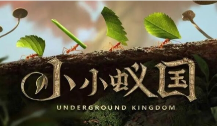 小小蚁国地区未开放怎么办 小小蚁国新地区解锁方法分享
