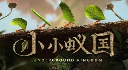 小小蚁国最强蚂蚁有哪些 最强蚂蚁排行