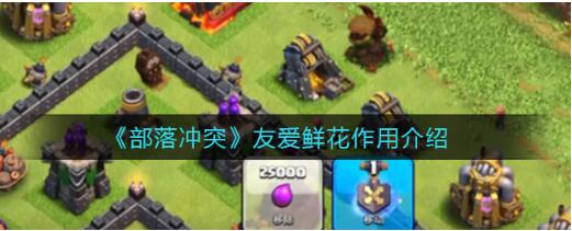 部落冲突友爱鲜花有什么用处 友爱鲜花作用介绍