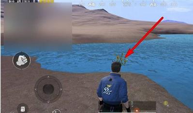 和平精英山谷向日葵位置在哪里 和平精英山谷向日葵位置一览