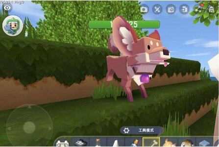 迷你世界怎么驯服狐狸 迷你世界驯服狐狸方法攻略