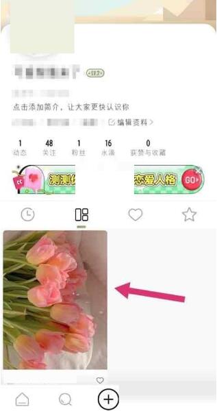 绿洲动态怎么置顶 绿洲动态置顶方法