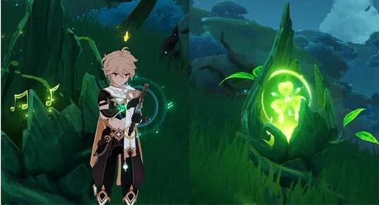 原神草种子空壳怎么激活 原神草种子空壳激活攻略