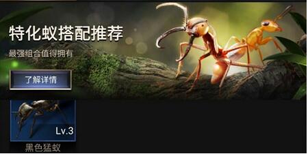 小小蚁国特化蚁阵容选择推荐 小小蚁国特化蚁阵容最强选择分析