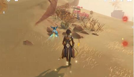 原神金蔷薇种子位置在哪 原神金蔷薇种子位置一览