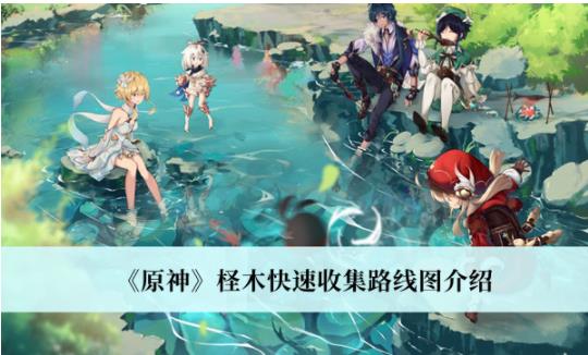 原神柽木怎么快速收集 原神柽木快速收集路线图介绍