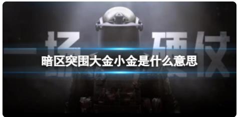暗区突围大金小金是什么意思 暗区突围游戏用语大金小金介绍