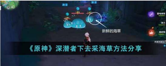 原神深潜者下去采海草的方法是什么 原神深潜者下去采海草方法分享
