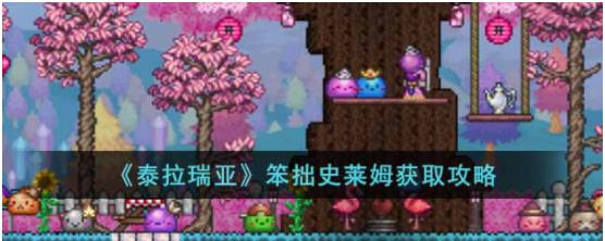 泰拉瑞亚笨拙史莱姆怎么获得 泰拉瑞亚笨拙史莱姆获取攻略