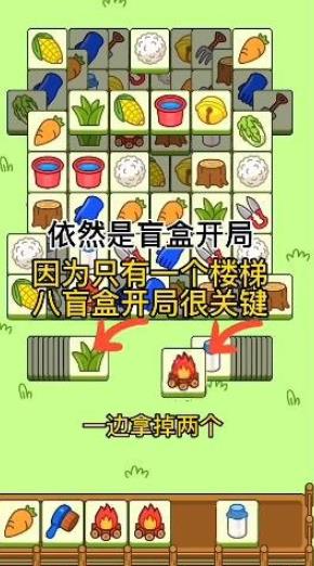 羊了个羊游戏攻略11月3日怎么过 11月3日通关攻略