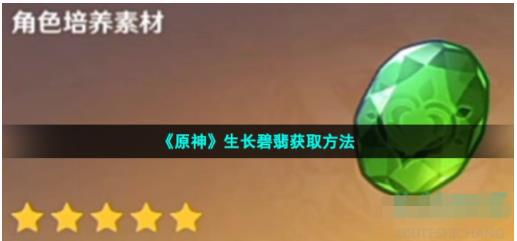 原神生长碧翡怎么获得 原神生长碧翡获取方法
