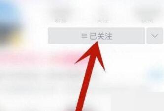 哔哩哔哩特别关注怎么开启 哔哩哔哩设置特别关注教程