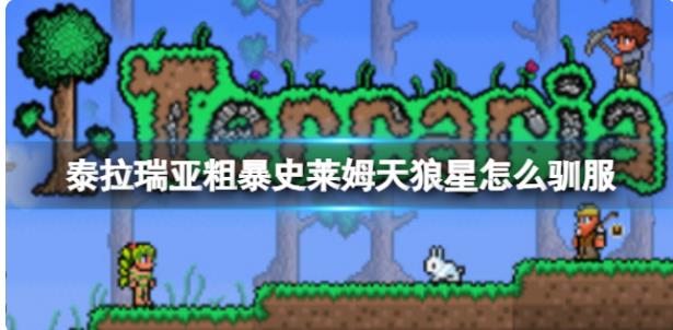 泰拉瑞亚粗暴史莱姆天狼星怎么驯服 粗暴驯服方法史莱姆天狼星