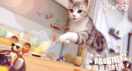 我和我的猫怎么玩 我和我的猫游戏攻略大全