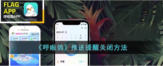 呼啦鸽推送提醒如何关闭 呼啦鸽推送提醒关闭方法
