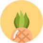 菠萝菠萝蜜视频app下载