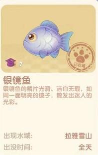 摩尔庄园银镜鱼在哪 摩尔庄园银镜鱼位置分享