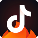 抖音火山版app下载安装