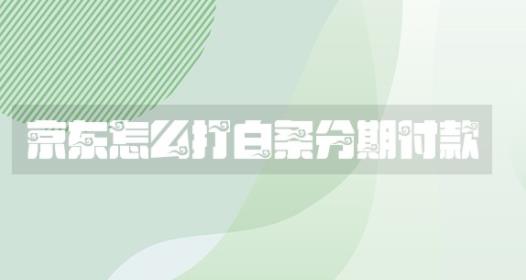 京东怎么打白条分期付款 京东打白条分期付款教程