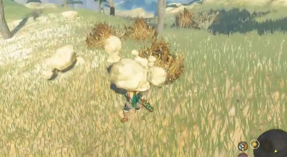 王国之泪拉布拉山鸟望台开塔攻略