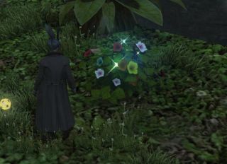 ff14无人岛6.3新增素材位置一览
