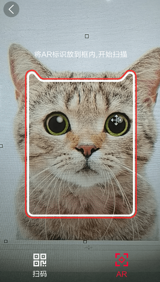 天猫双11扫猫抽红包怎么玩？ 天猫AR扫猫抽红包活动参加教程