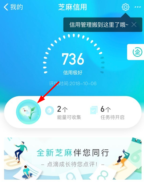 支付宝信用能量怎么看？ 支付宝信用能量查看方法介绍