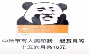 十五的月亮16元是什么意思？ 十五的月亮16元微信对话图片大全