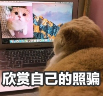 名媛下午茶是什么意思？ 拼多多名媛下午茶表情包大全