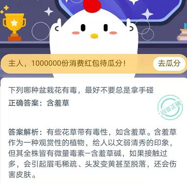 下列哪种盆栽花有毒，最好不要总是拿手碰 蚂蚁庄园11月23日答案最新分享