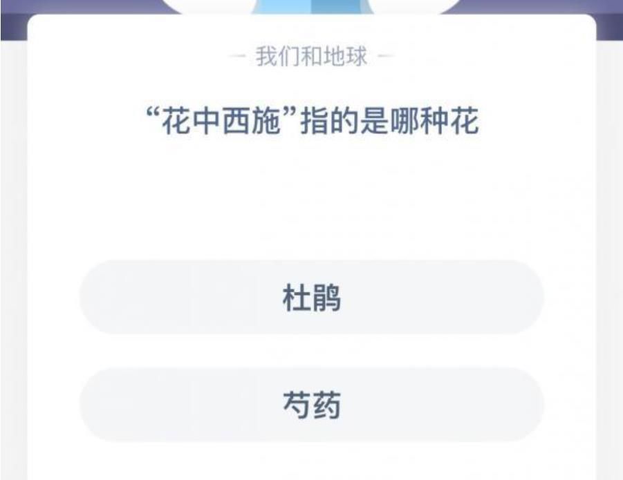 蚂蚁庄园今日答案花中西施 蚂蚁庄园12.26日答案杜鹃