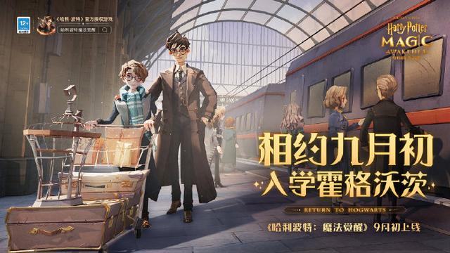 哈利波特魔法觉醒pvp卡组怎么搭配？pvp卡组搭配建议与卡牌详解
