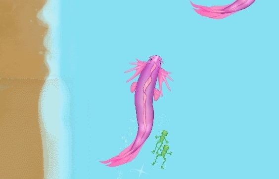 召唤神龙怎么过关？召唤神龙变成神龙攻略[多图]图片7